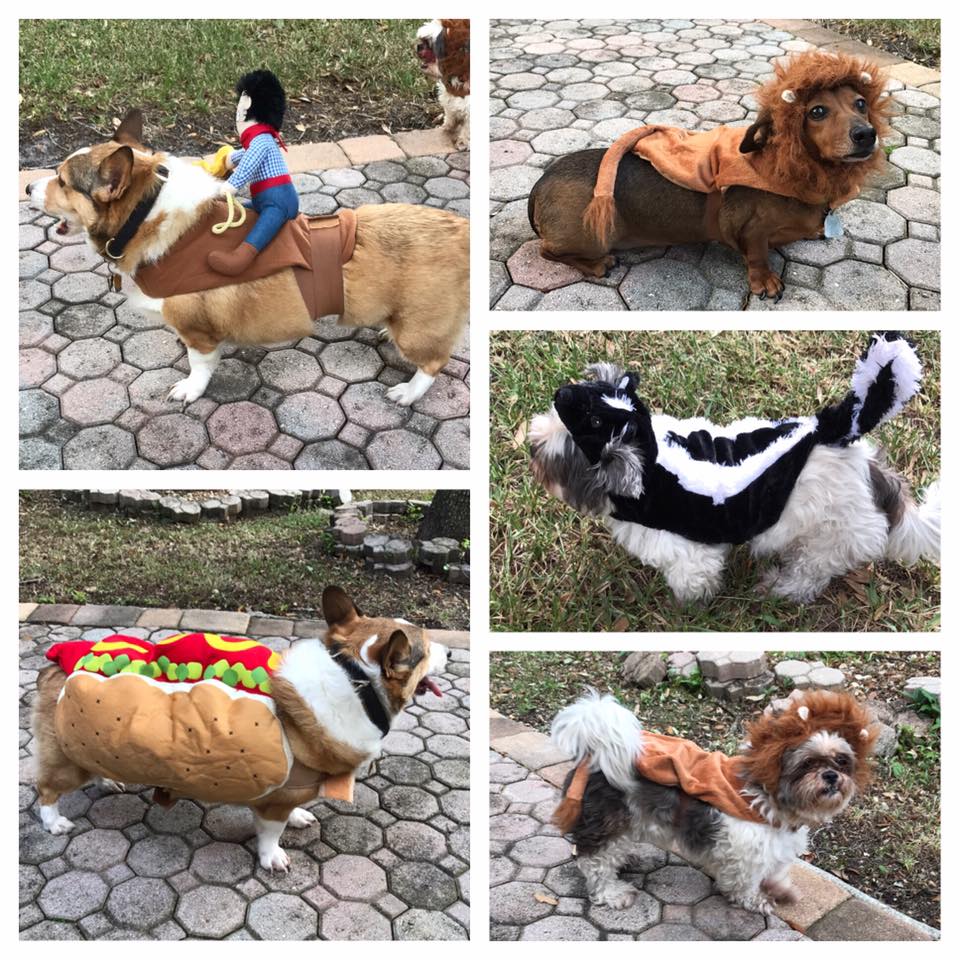halloween_meus