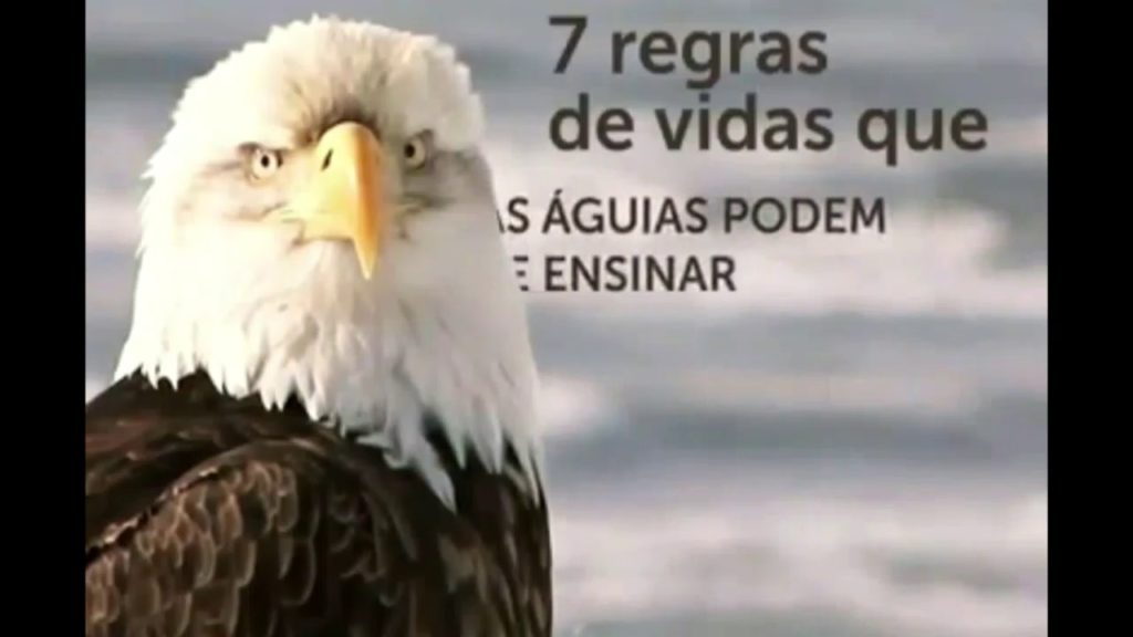 as aguias