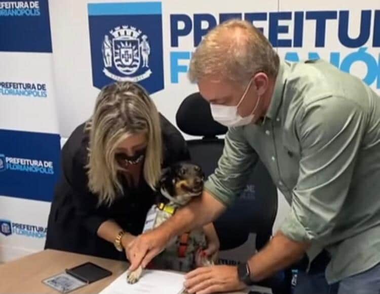 Cadela 'assina' Projeto Para Tratar Pets Com Leishmaniose Em ...