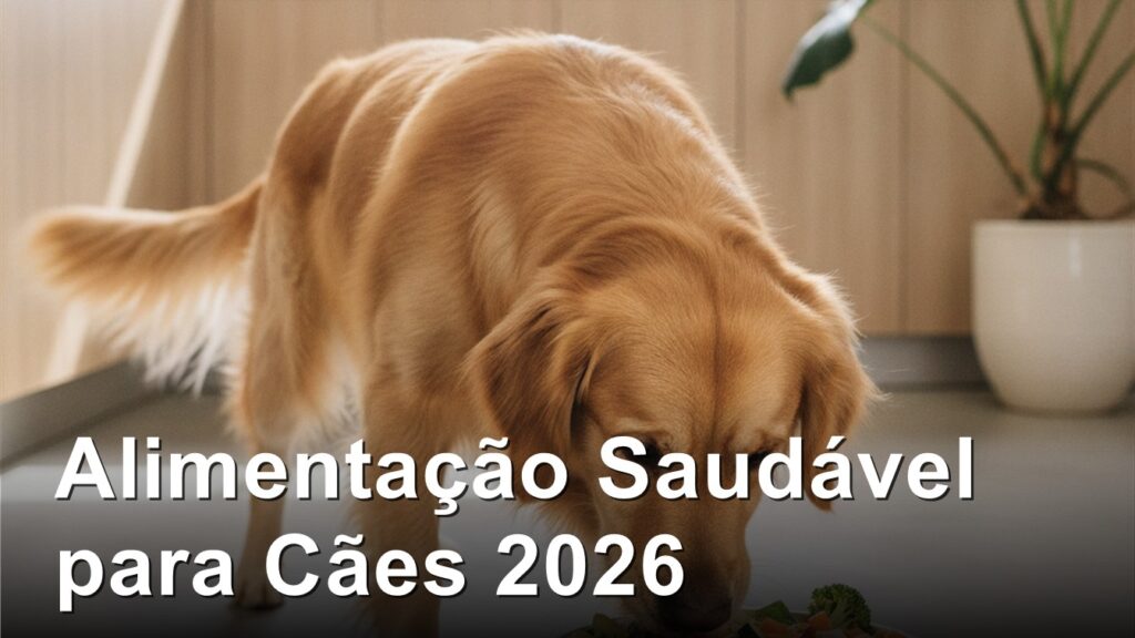 alimentacao saudavel para caes cachorro comendo comida saudavel