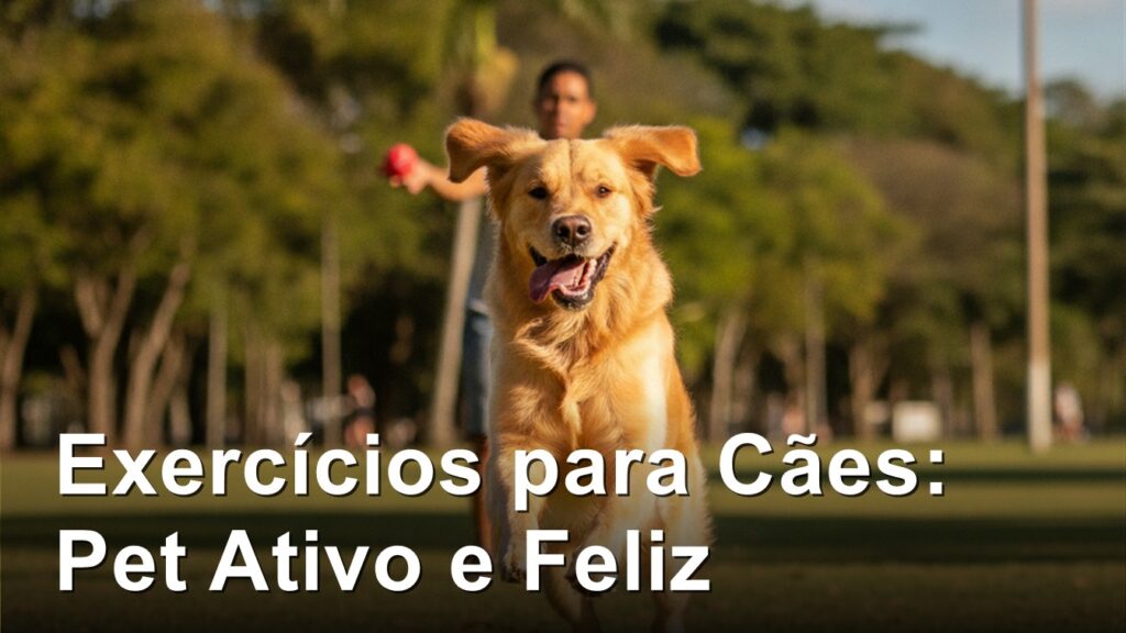 exercicios atividades caes golden retriever parque brasil 2026