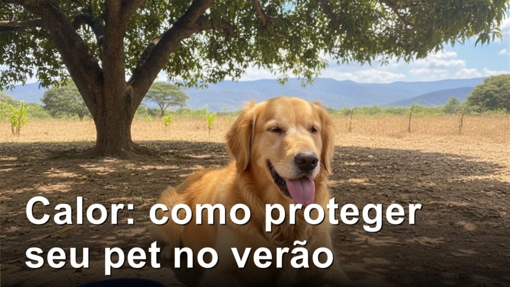 cachorro e gato protegidos do calor no verao