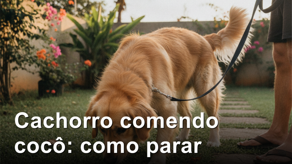 cachorro comendo coco como parar coprofagia em caes