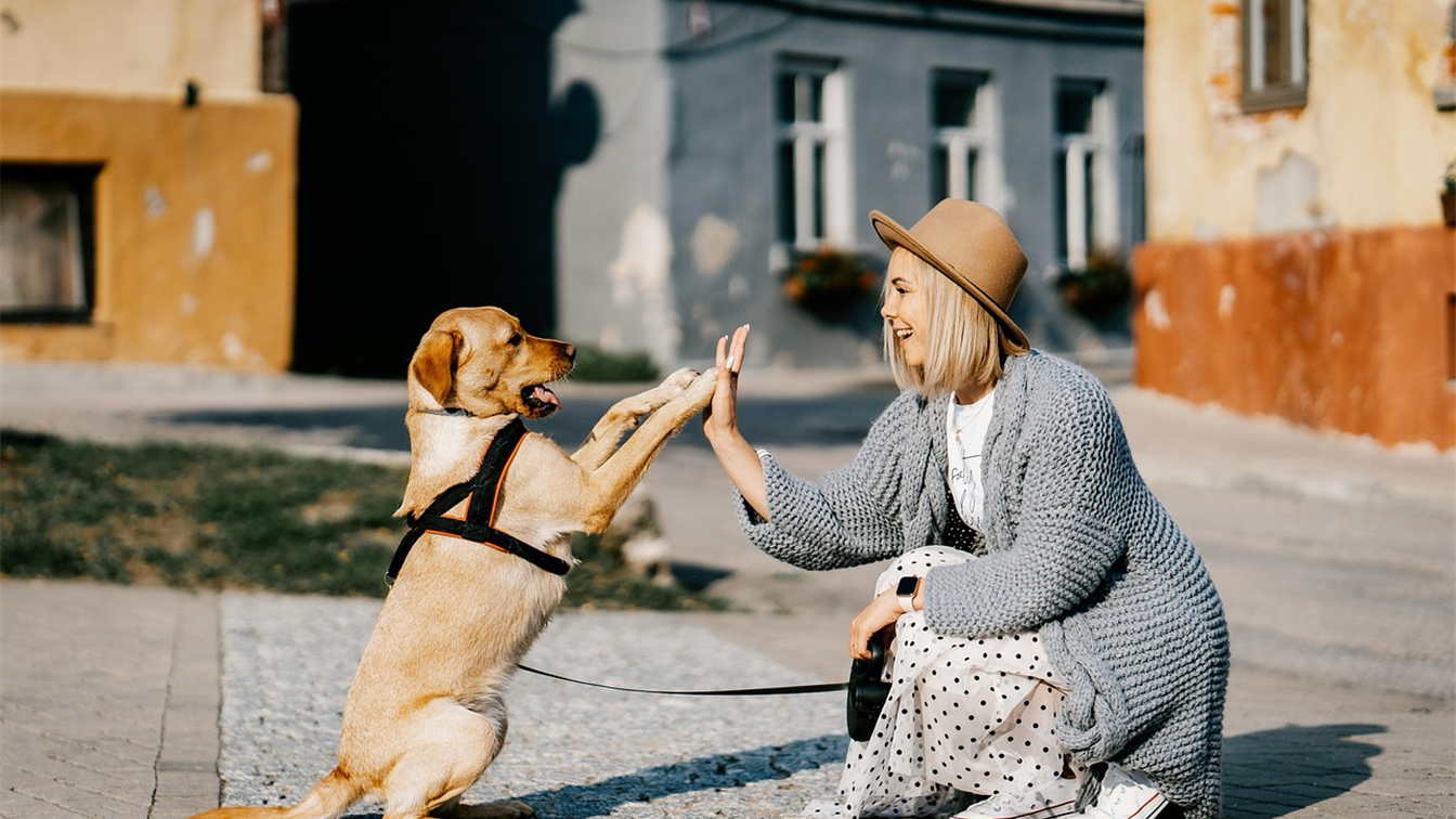 Mulher e cao dando high five na rua