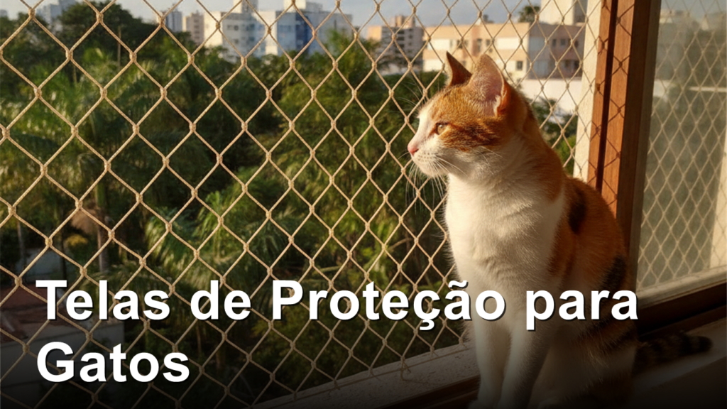 gato olhando pela janela com tela de protecao em apartamento