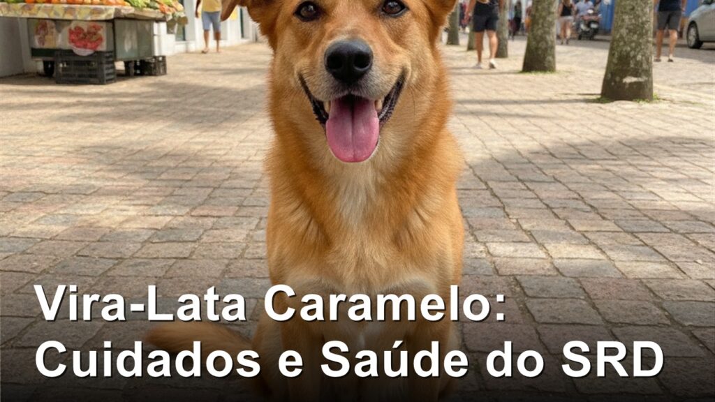 Vira-lata caramelo cuidados saude caes SRD 1